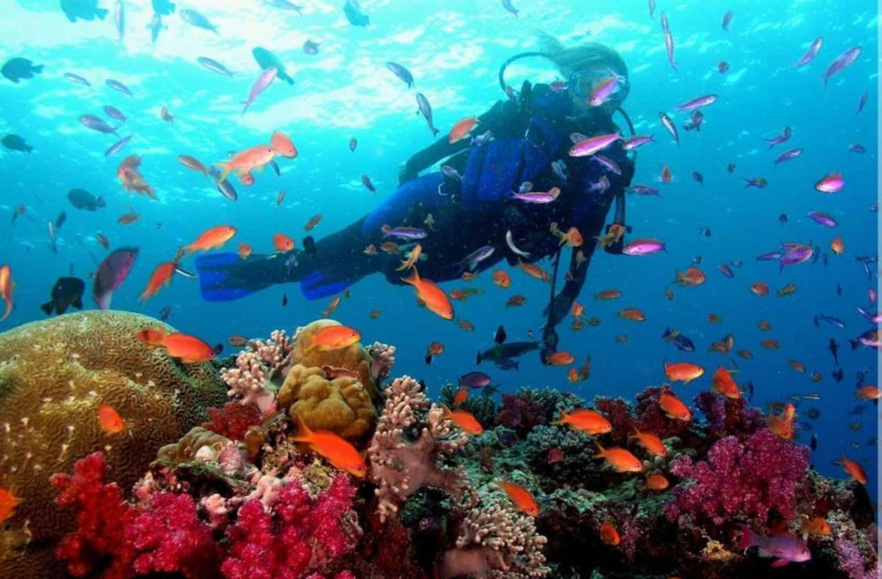 Traveler'S Room Melenara Luaran gambar